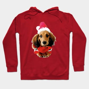 Dachshund Christmas Puppy Dog Hoodie